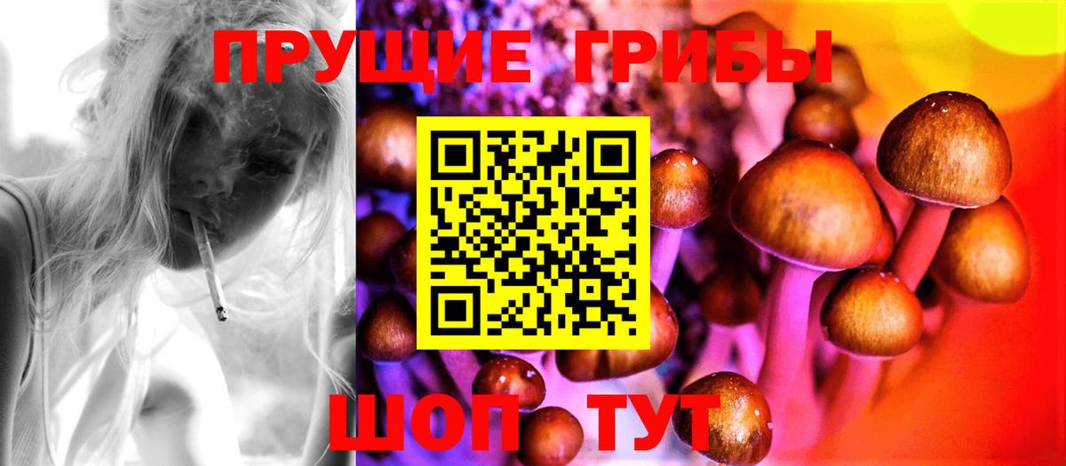 Псилоцибиновые грибы ЛСД Орёл